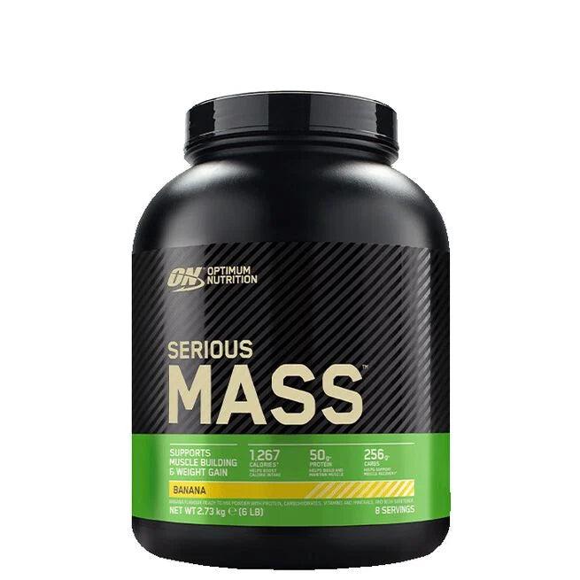 Optimum Nutrition Serious Mass Gainer, 2727 g - FITMATTERS