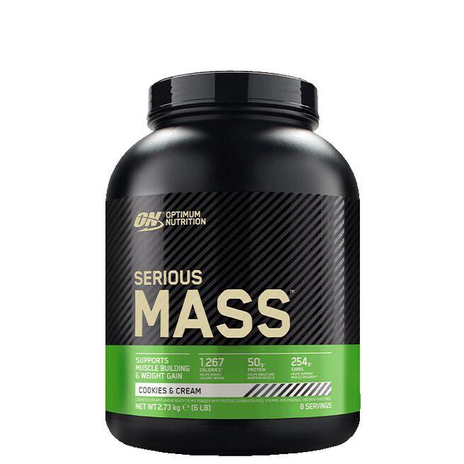 Optimum Nutrition Serious Mass Gainer, 2727 g - FITMATTERS