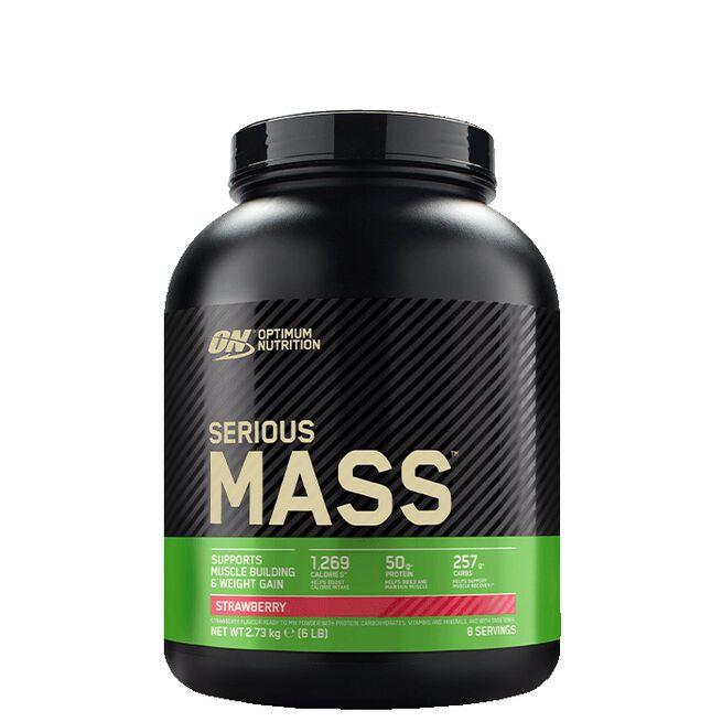 Optimum Nutrition Serious Mass Gainer, 2727 g - FITMATTERS