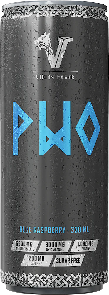 Viking Power PWO 330ml