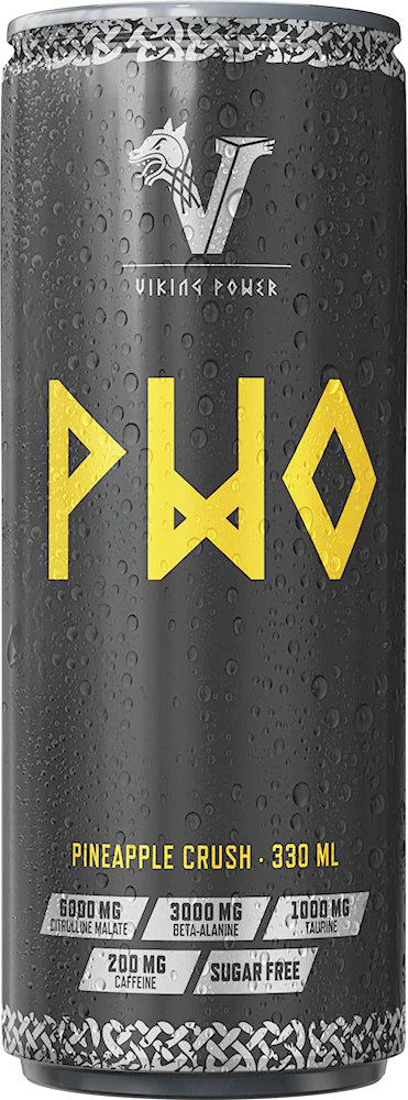 Viking Power PWO 330ml