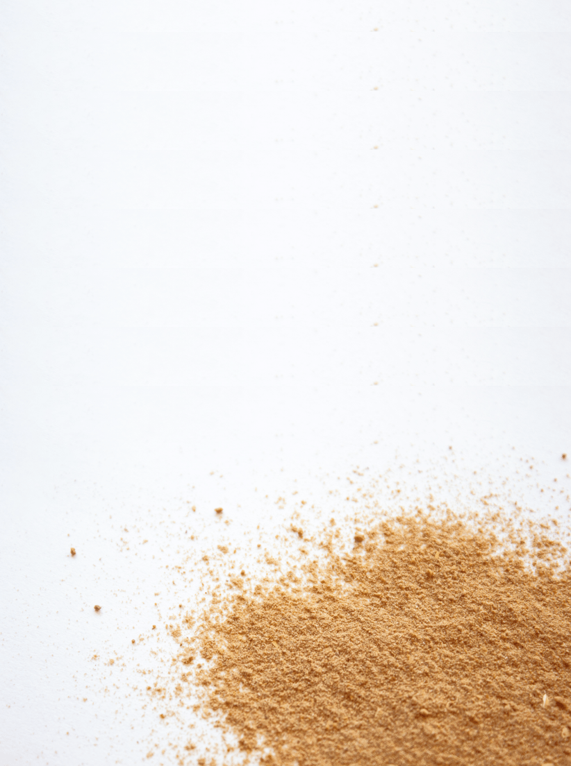 Sea Moss Smoothie Blend- Superfood- Cacao Delight