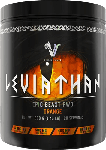 Viking Power Leviathan Hardcore PWO - 660 g - FITMATTERS