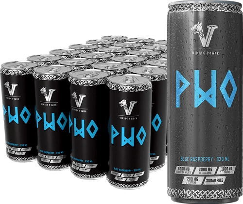 Viking Power PWO Energy Drink - 24 x 330 ml - FITMATTERS