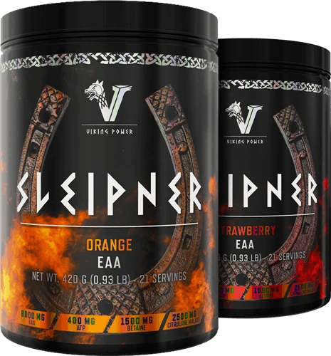 Viking Power Sleipner EAA - 420 g - FITMATTERS