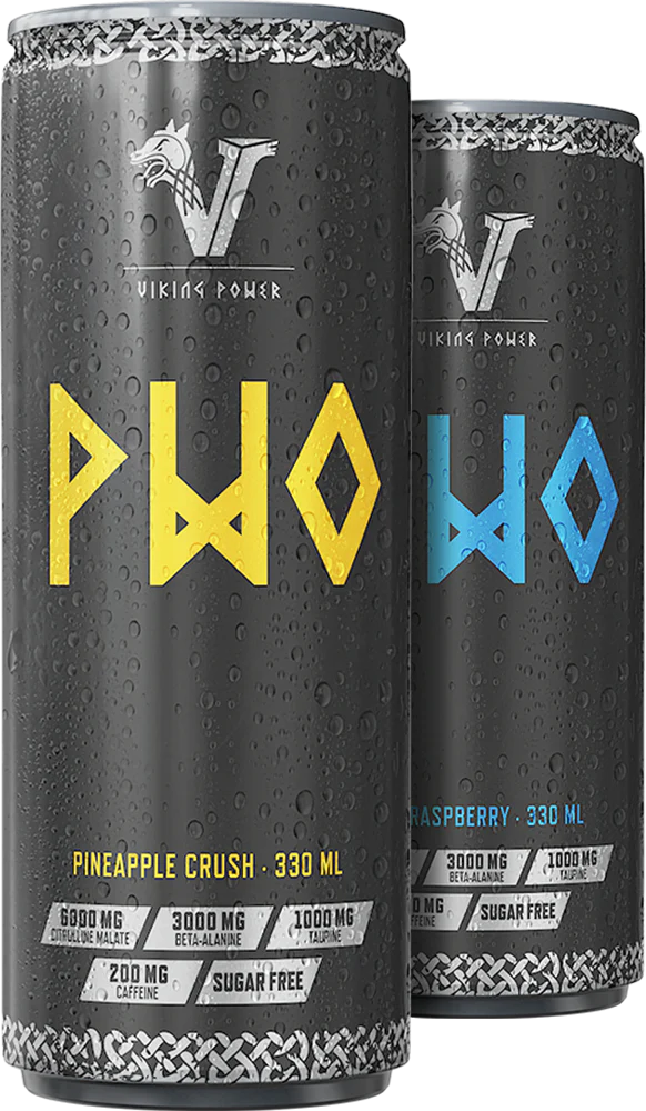 Viking Power PWO 330ml