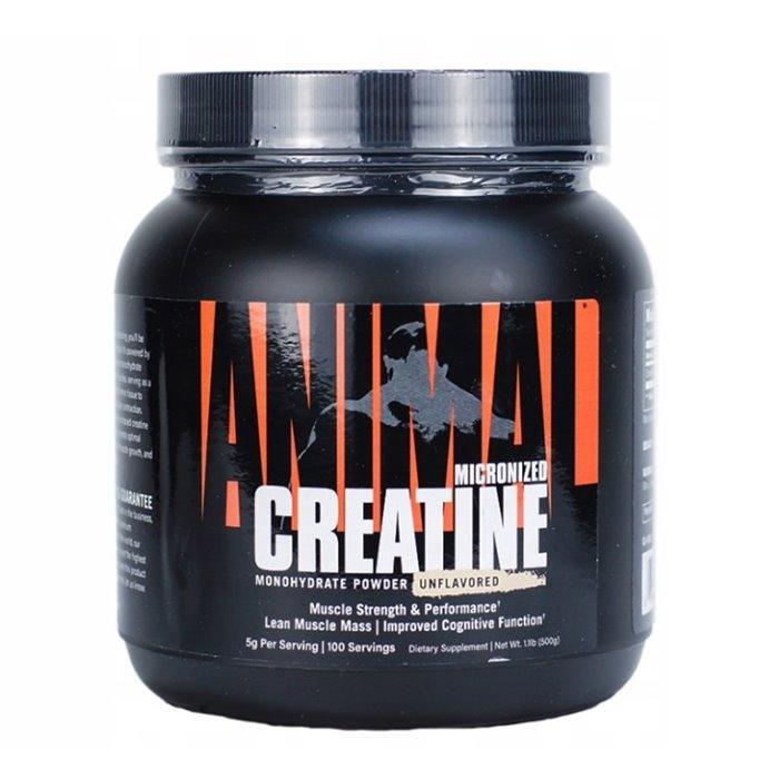 Animal - Creatine Powder - Unflavored - 500g - FITMATTERS